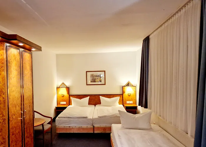 Hotel Trip Minerva Frankfurt 3*